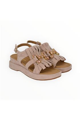 BRUNO PREMI | 3204-PHARD